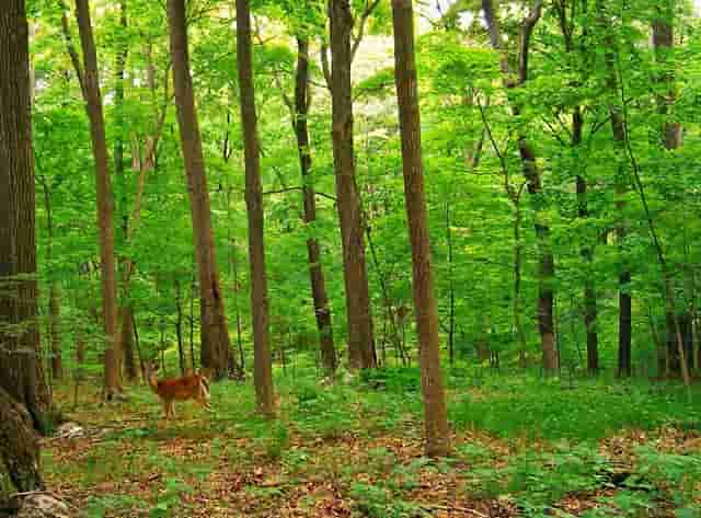 世界上什么生物很怕称重？  没错就是女人！