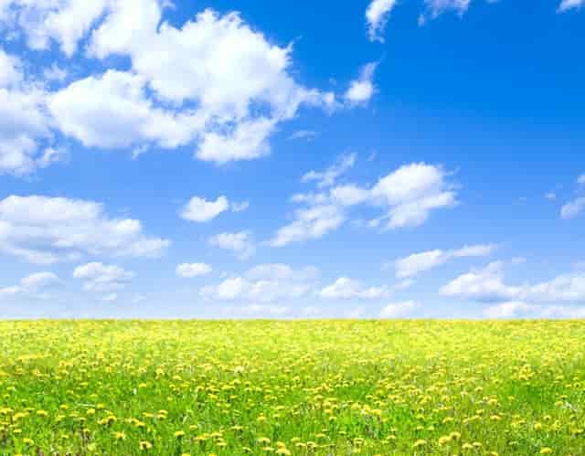 知乎携手京东、品牌商家，共创 11.11 家电家居消费指南