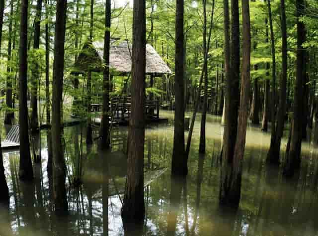 AI厂格拉苏蒂原创偏心月腕表