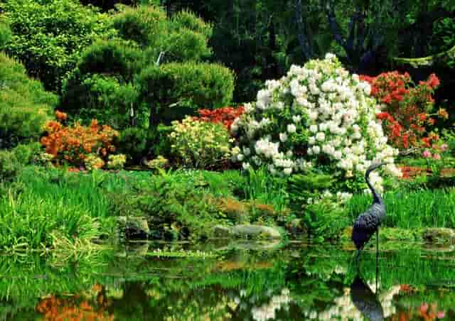 袖虎病狗攻略：狗狗口腔保健，拒绝口臭