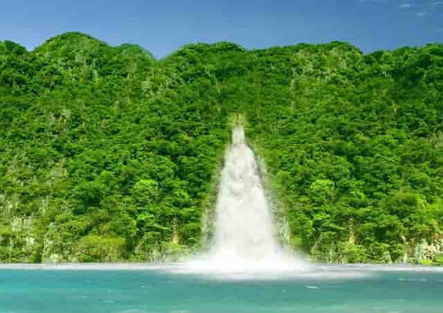 “鄂尔多斯红葱”正逐步走向产业化