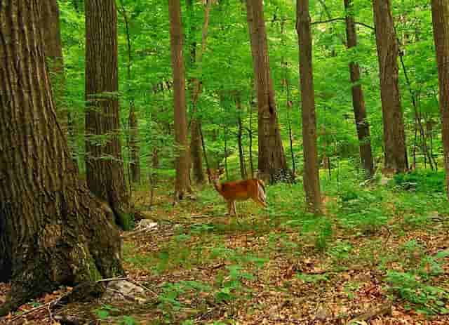 1921票房破亿票房