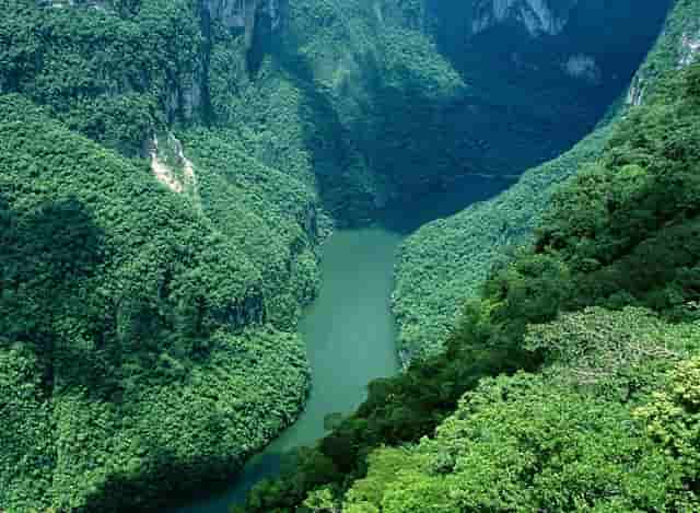 企业如何营造营商环境