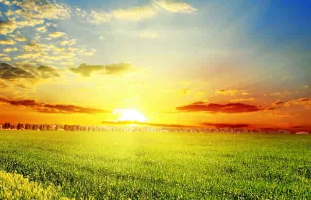 袖虎强烈建议，猫咪练胆要趁早