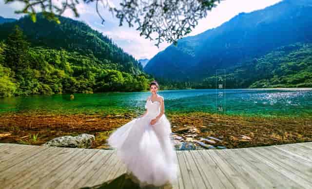 袖虎揭秘，宠物“装死”是怎样炼成的！