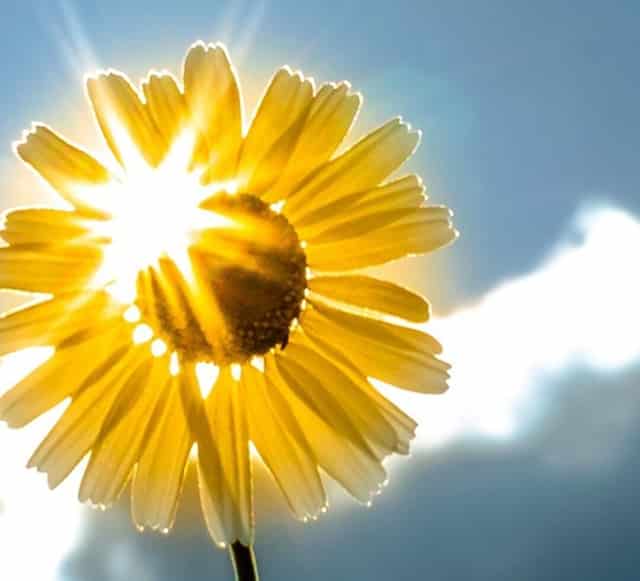 淮南室内防水卷材(室内防水卷材铺贴顺序)