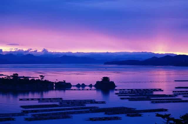 7月份今日生猪价格