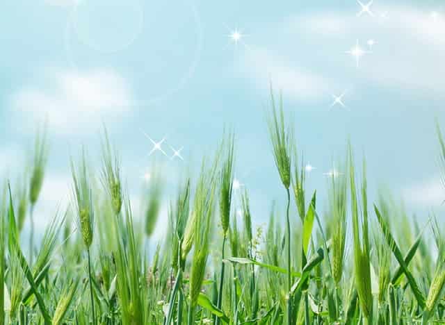 6个实用的虐腹动作，配合20分钟有氧运动