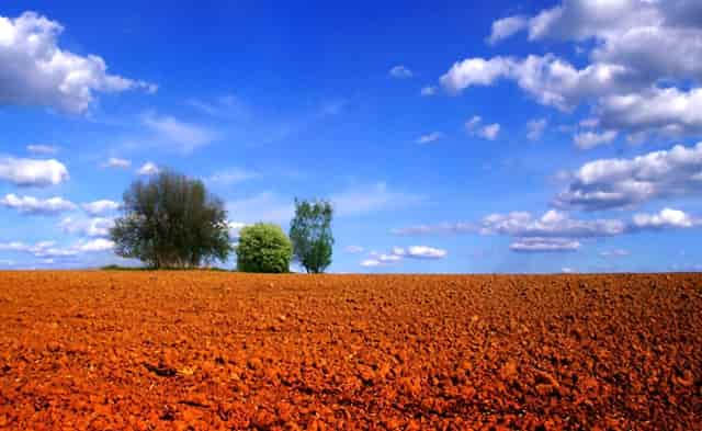 袖虎病狗攻略：狗狗掉毛多是有病的表现吗？