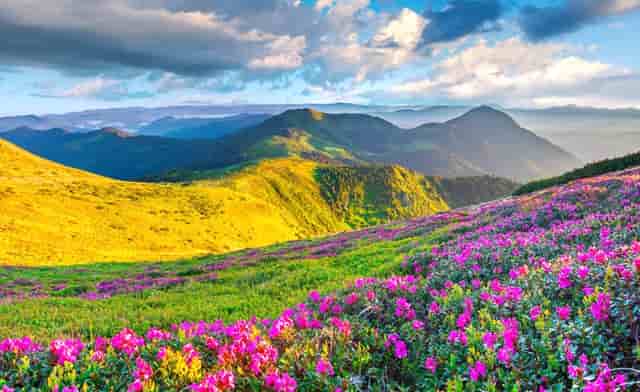 nba太阳胜雄鹿字母哥