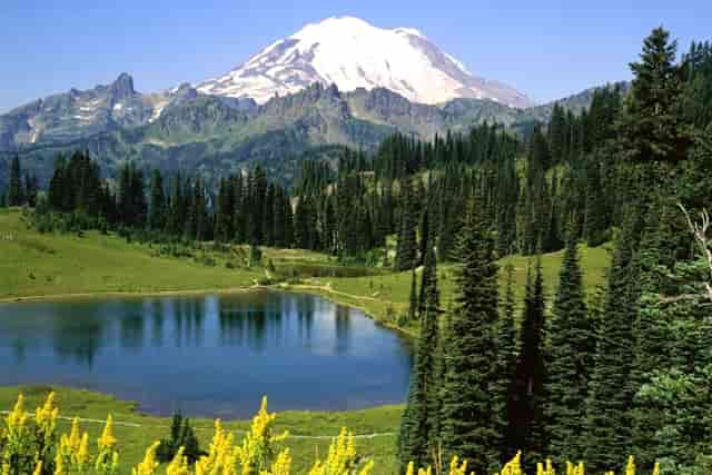 内衣一般是什么