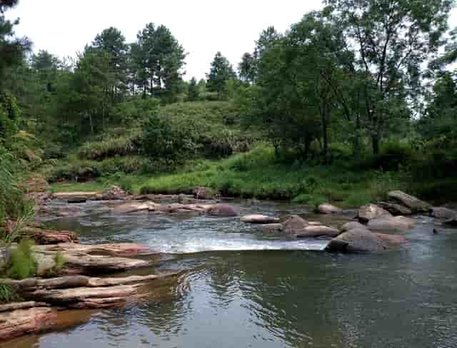 袖虎宠物：如何避免加盟踩坑