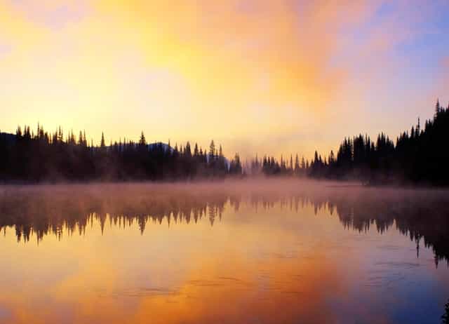 袖虎病狗攻略：哮喘的狗狗要小心