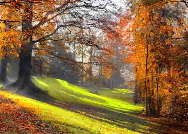 填志愿录取规定