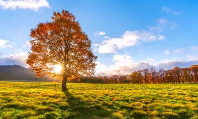 女人35岁做什么手术最好