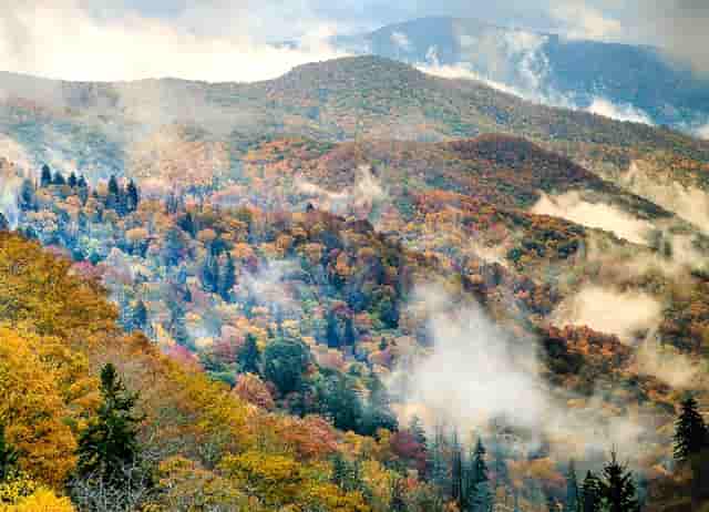 长沙云翼培训学校获喜报，高考小语种助你走进名校大门！