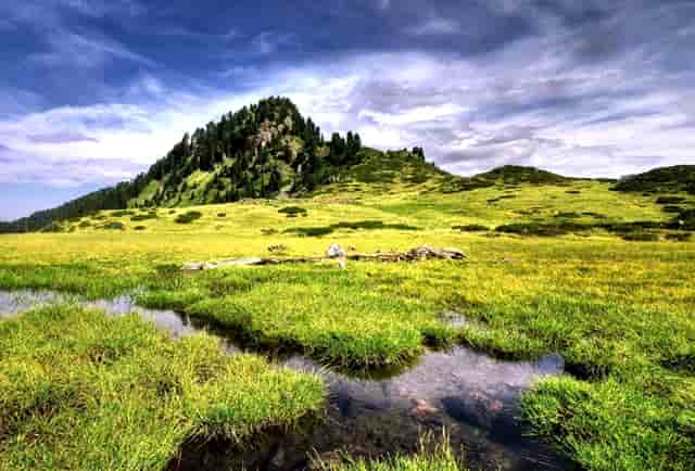 东京奥运会空场视频