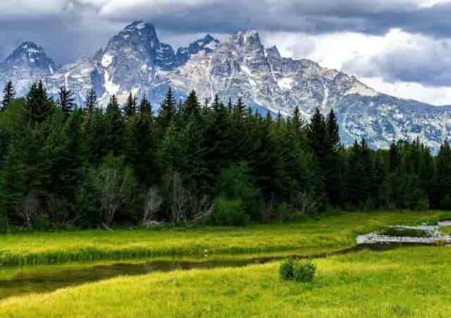 袖虎建议养“狗的问题”和“人的问题”一起重视！