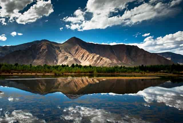 袖虎养猫疑问：它居然流红色的泪？！