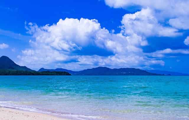 20人被锡林浩特市检察院提起公诉！