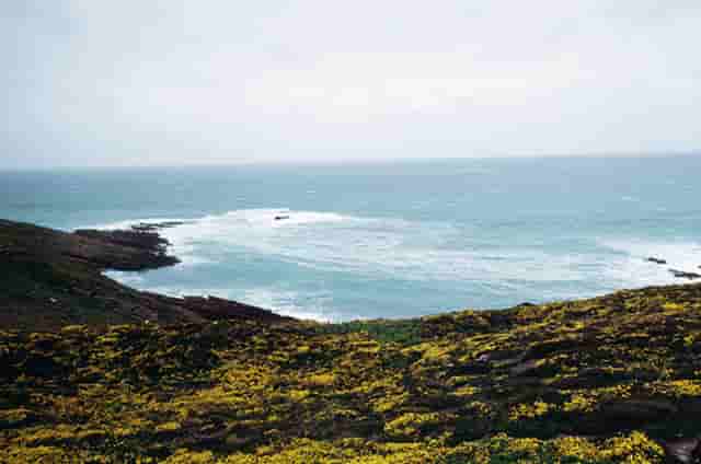 奥运女足最新战绩