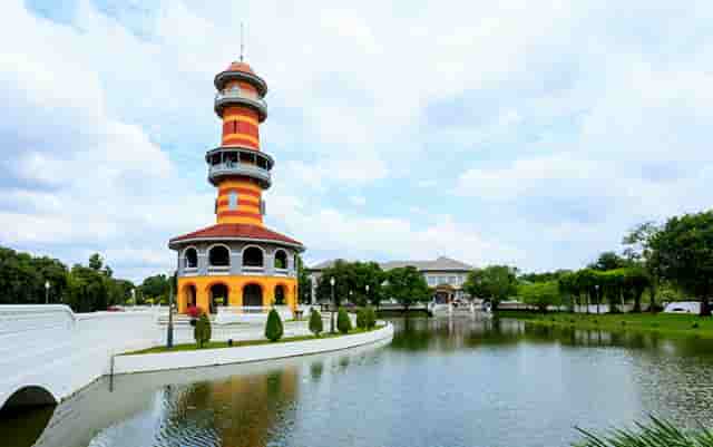 袖虎带你注意宠物美容的问题