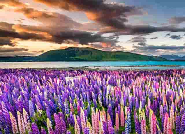 郑州哪里适合卖窗帘(哪里适合开车卖窗帘)