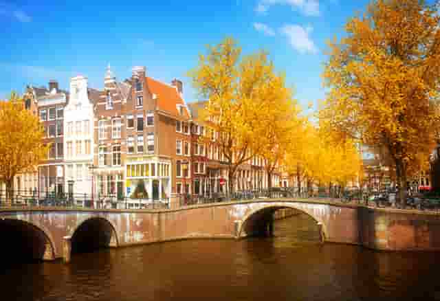 数藏圈的一匹黑马——火兔“FIRE BUNNY”