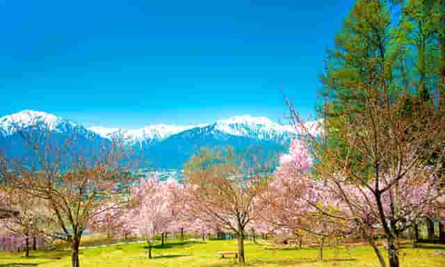 五一慰问环卫工条幅(五一环卫工慰问活动)