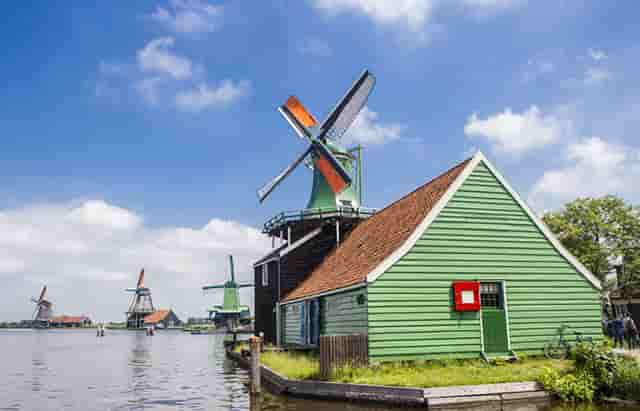 袖虎病猫攻略：猫咪嘴肿怎么办？