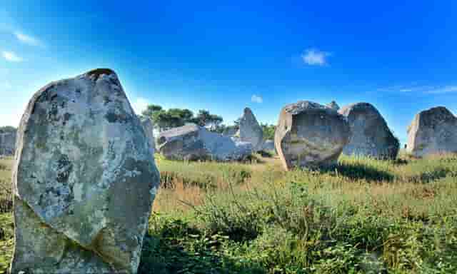 袖虎新养宠防坑：小心感冒变成猫鼻支