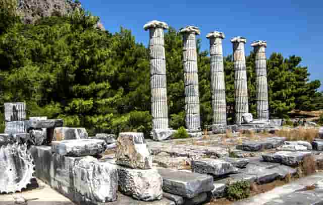 迈科期货亏损骗局？迈科教您如何截断亏损让利润奔跑！