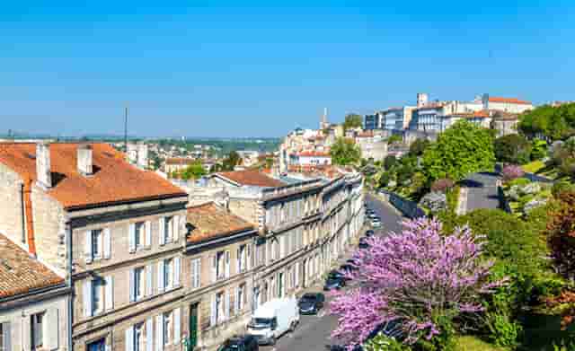 许昕说自己退役(马龙许昕退役)