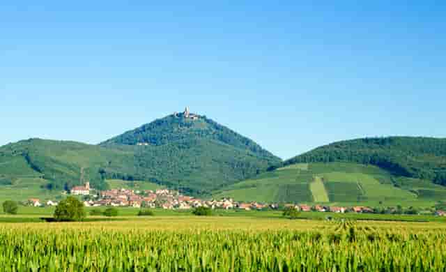 吃鸡开场4分钟视频