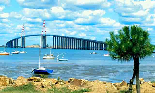 袖虎病猫攻略：猫不正常掉毛的五大原因，你知道几个？