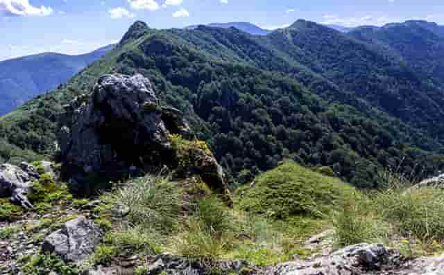 引擎盖上要不要打蜡(引擎盖打蜡多少钱)