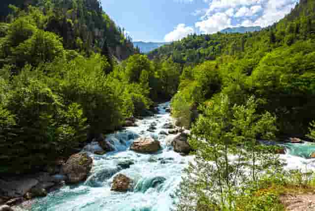 袖虎宠物告诉你：要学会避雷中国宠物行业无效信息！