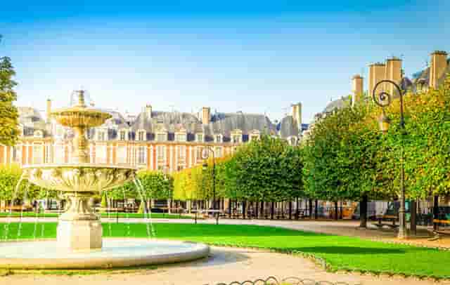 袖虎病猫攻略：猫咪吃罐头还拉肚子是有病吗？