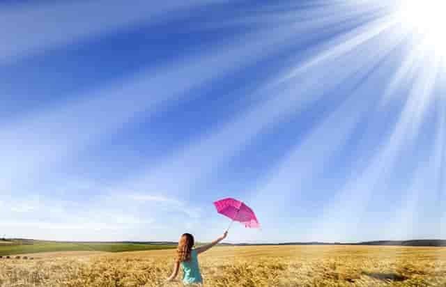 袖虎病猫攻略：捡到幼猫怎么养