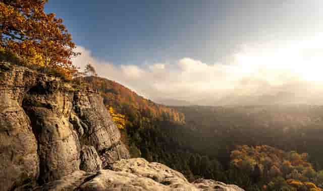 袖虎病狗攻略：狗狗体臭处理的五大方面