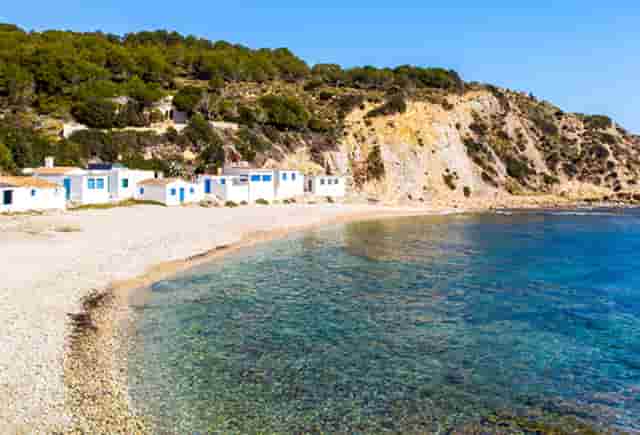 袖虎教你避雷：猫咪的虚假求救信号和真实求救信号