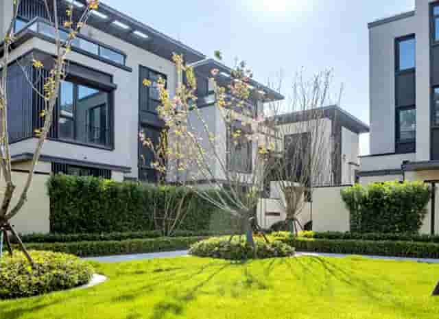 袖虎病狗攻略：鉴别病狗和健康狗的十二个方面，你知道几个？