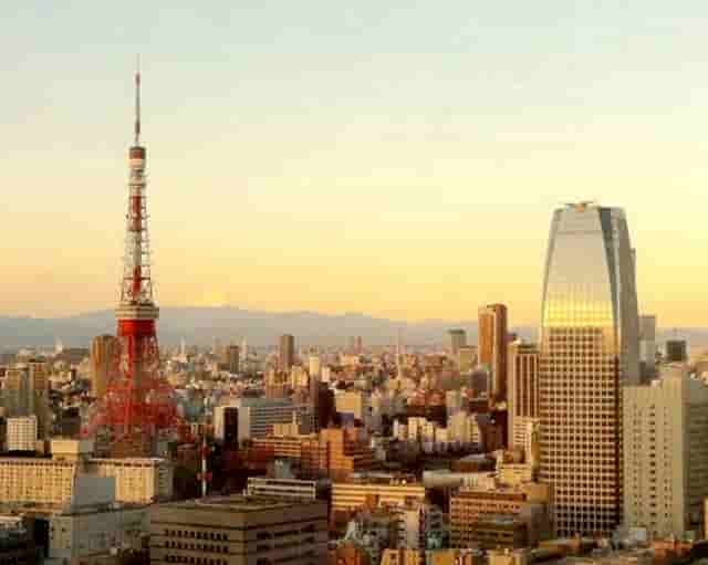 袖虎养宠秘笈：宠物喂养的十大误区