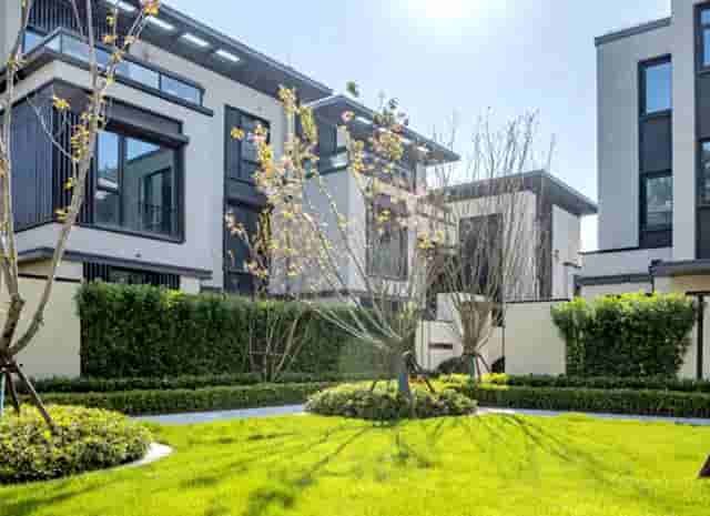 蔡嘉珍成功註冊理財規劃師，邁出專業領域新里程碑